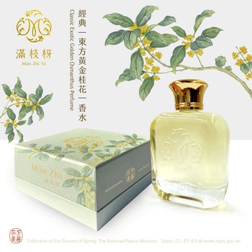 【滿枝枒】經典｜東方黃金桂花精油香水