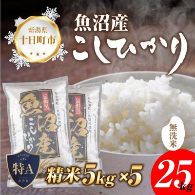 ふるさと納税 十日町市 無洗米  魚沼産 コシヒカリ 25kg 美味い炊き方ガイド付