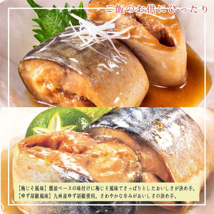 缶詰 魚 防災 非常食 鯖缶 梅じそ＆ゆず胡椒風味缶 各6缶 12缶 セット 宝幸 日本のさば サバ缶 鯖 サバ さば 梅じそ ゆず胡椒 魚 梅じそ