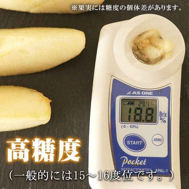 ラフランス 約3kg 大玉 3~4L×8~9個 送料無料 山形 プレミアム 洋梨 洋ナシ 洋なし 梨 お取り寄せ お歳暮 御歳暮 フルーツ ギフト 果物 くだもの プレゼント