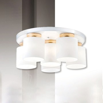 北歐風吸頂五燈 B102-81-24432