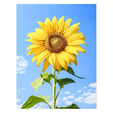 Sunmoon DIY我的快樂愛好繪圖  1個  向日葵