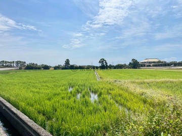 笨港國小旁臨路大面寬一般農-審核變更交通用地中｜桃園市新屋區笨子港