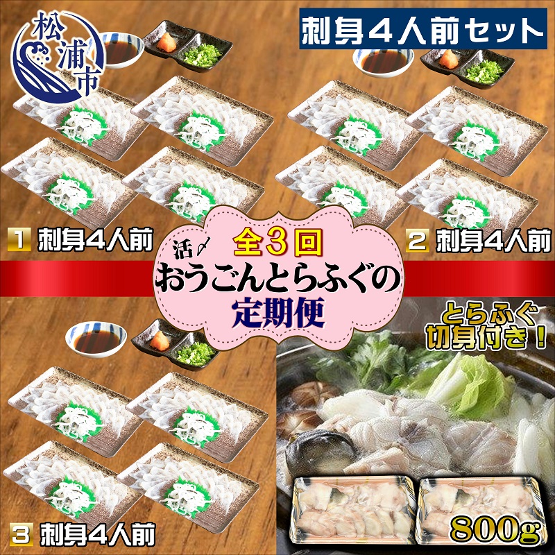 活〆おうごんとらふぐ刺身4人前セット　3回目鍋用切身800g付