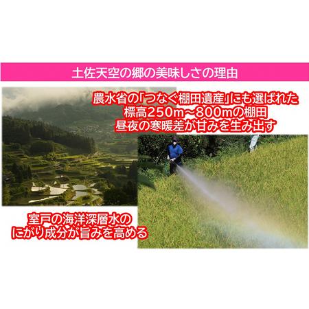 ふるさと納税 ★令和5年産★2010年・2016年 お米日本一コンテスト inしずおか 特別最高金賞受賞 土佐天空の郷 にこまる 10kg 高知県本山町