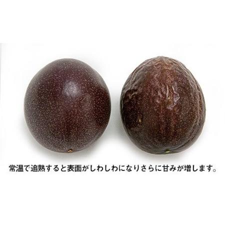 ふるさと納税 津嘉山パッションフルーツ　約1kg 沖縄県南風原町