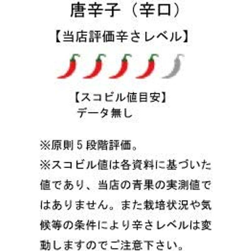 国産 生 青唐辛子 辛口 50g×5袋 冷凍品 千葉県産