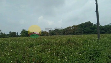 觀音66旁三座屋段橫圳頂小段農地｜桃園市觀音區橫圳頂