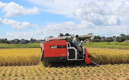 K512新潟県産コシヒカリ5kg