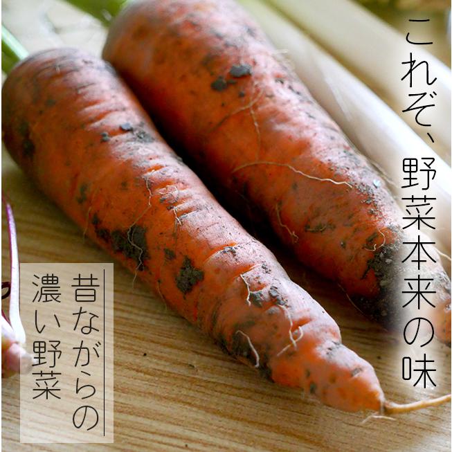 無農薬 野菜セット 農家直送 6〜8品目 安心安全 有機野菜詰め合わせ 大阪 西日本 産地直送 笑ノ百姓 笑の百姓