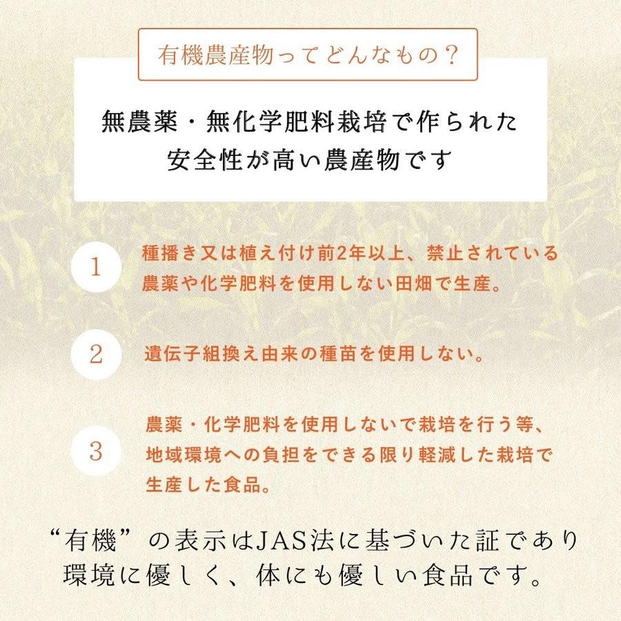 有機にんにく 1kg×10ネット 中国産  富里出荷