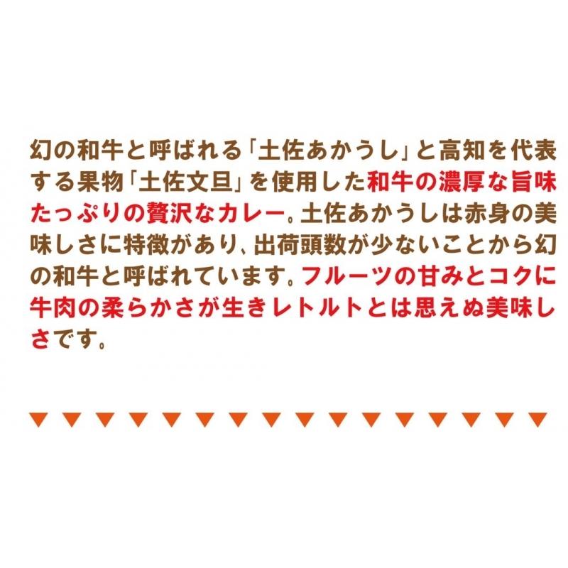 土佐あかうしと文旦のカレー　200g×2袋セット 送料無料  ご当地カレー レトルト