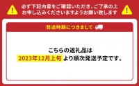 期間限定 八代特産 晩白柚（ばんぺいゆ）2Lサイズ(約2kg)×4玉～5玉