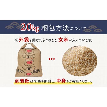 ふるさと納税 令和5年産 千葉県産エコ米「コシヒカリ」玄米20kg（20kg×1袋） 千葉県大網白里市