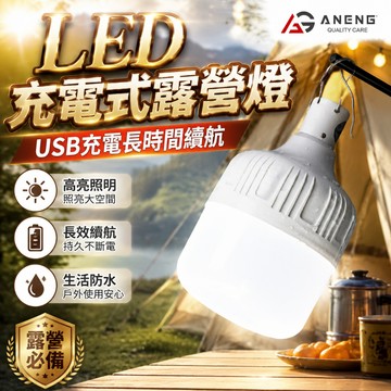 蝦皮隔日配 30W 100W LED 燈泡 USB充電式 停電緊急照明 露營燈 工作燈 夜市燈 地攤燈 緊急照明燈