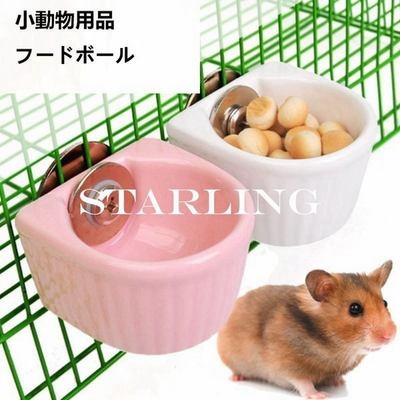ハムスター 水飲み うさぎ 餌入れ 給水器 陶器 小動物 チンチラ エサ 器 水入れ えさ入れ デグー モルモット フードボウル 通販 Lineポイント最大0 5 Get Lineショッピング