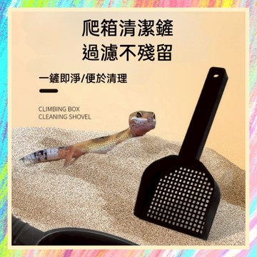 ★爬蟲新樂園★[台灣現貨]爬箱清潔鏟 爬蟲清潔鏟 方便清理 過濾糞便 守宮 蜥蜴 爬蟲 貓砂