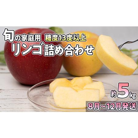 ふるさと納税 8〜12月発送旬のリンゴ詰め合わせ 約5kg 糖度13度以上 青森県弘前市