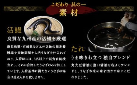 鰻天屋の 九州産 うなぎ 蒲焼 約140g×2尾 セット