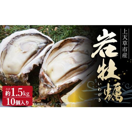 ふるさと納税 熊本県 上天草市 岩ガキ 合計約1.5kg（約150g×10個）加熱用 冷蔵 岩牡蠣