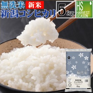 無洗米 新潟県産 コシヒカリ5kg  お米マイスター厳選 令和5年産 [翌日配送]送料無料 北海道沖縄へは別途送料760円