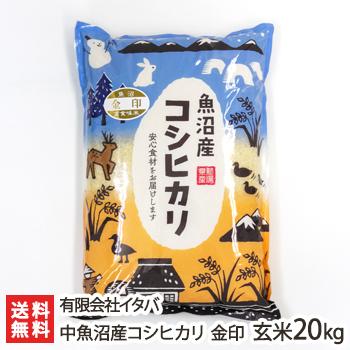 中魚沼産コシヒカリ 金印 玄米20kg（玄米5kg×4） 有限会社イタバ ギフトにも！ のし無料 送料無料