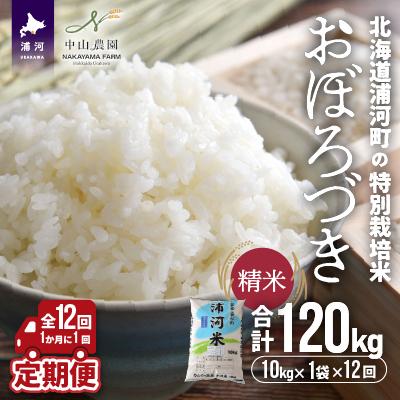 ふるさと納税 浦河町 浦河町の特別栽培米「おぼろづき」精米10kg×1袋定期便(全12回)[37-1228]