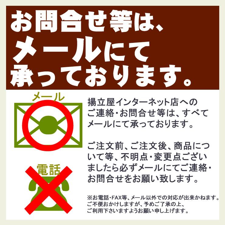 揚立屋 さつま揚げ ギフト 送料無料 ネット限定 鹿児島