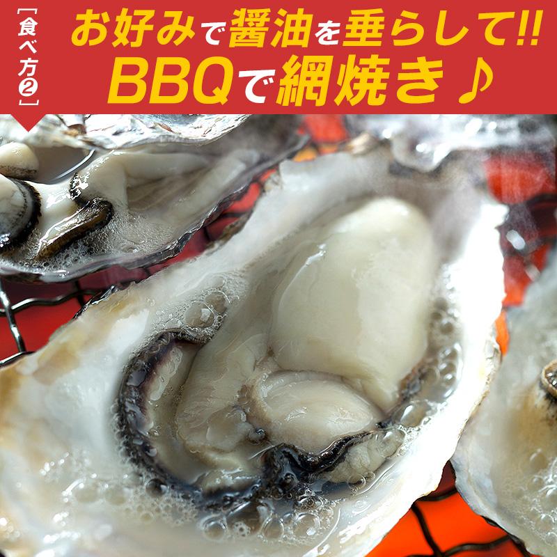 カキ かき 牡蠣 一斗缶 カンカン焼き 殻付き 3kg 牡蠣カンカン焼き 冷凍 軍手＆牡蠣ナイフ付き 瀬戸内海産 お歳暮 ギフト