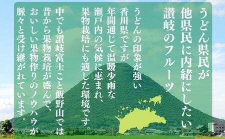 フルーツ定期便 12回 城下町の果実 百果繚乱 旬のお届け 果物 果物類 シャインマスカット 桃 キウイ ぶどう みかん 旬 詰め合わせ