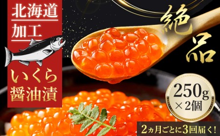 鱒 イクラ 醤油漬 250g×2箱：定期便 いくら 魚卵 魚貝類 加工食品