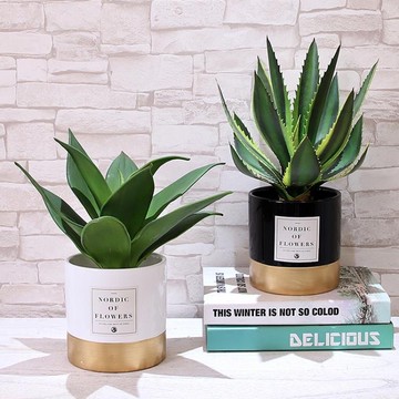 買一送一仿真植物 北歐仿真植物ins風裝飾家居擺件臥室假盆栽小擺設客廳創意桌擺花 萬客居