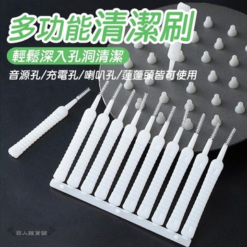 台灣出貨 蓮蓬頭清潔刷 10入一組 花灑清潔刷 細小疏通針 隙縫刷 清潔刷 手機充電孔 音源孔刷 出水孔清潔 防堵塞