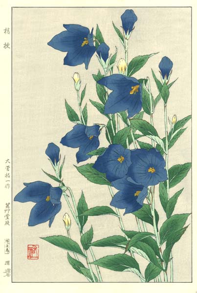 F179 桔梗　花版画 Flower Woodcut ‐Chinese bell-flower‐