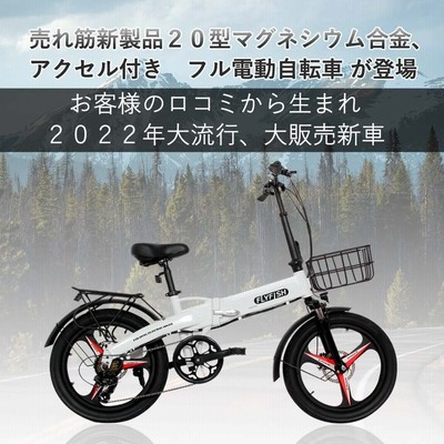 電動アシスト自転車 ファットバイクG-Cruiser20 【公道走行可能】