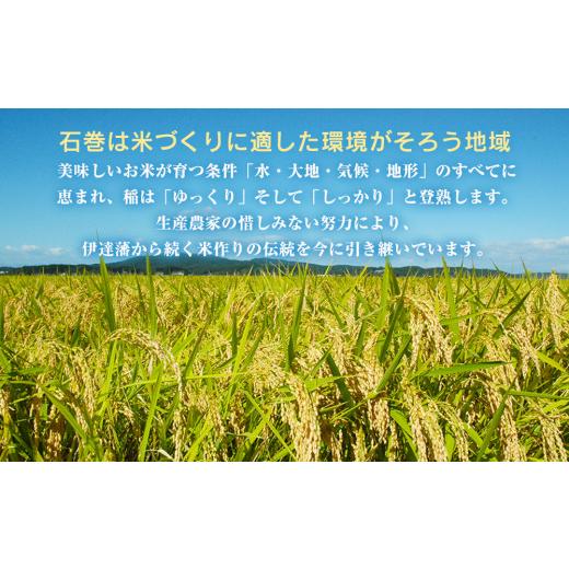 ふるさと納税 宮城県 石巻市 令和5年産 宮城県産 だて正夢 精米 10kg （5kg×2袋） 石巻市