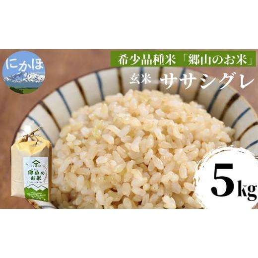 ふるさと納税 秋田県 にかほ市 ササニシキの親　農薬不使用のササシグレ「郷山のお米」5kg（玄米）