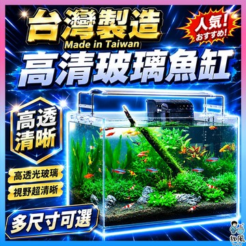 免費宅配到家【台灣製🔥高清玻璃魚缸】多種尺寸 水族箱 小魚缸 高品質強化玻璃缸超白缸小魚缸孔雀魚缸小型客廳桌面 魚缸