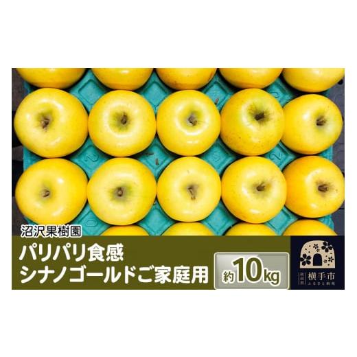 ふるさと納税 秋田県 横手市 パリパリ食感シナノゴールド ご家庭用 約10kg（28〜46玉前後）