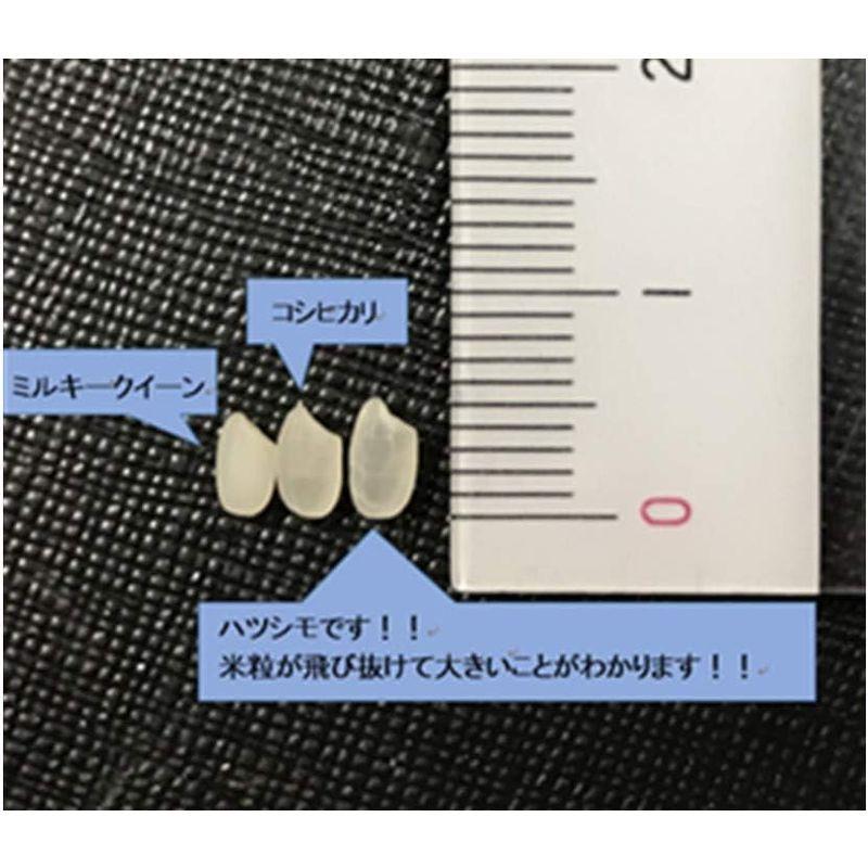 ハツシモ 玄米 4年産 特別栽培米 岐阜美濃産 (2kg)