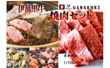 伊万里牛焼肉セット 赤身400g ミックスホルモン200g 焼肉だれ付 J728