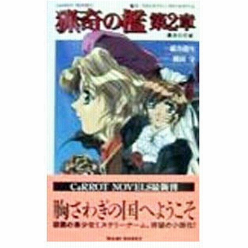 猟奇の檻 第２章 黒衣の花嫁 紙谷龍生 通販 Lineポイント最大0 5 Get Lineショッピング