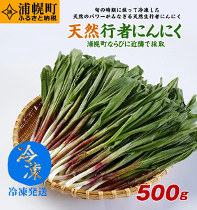 冷凍天然行者にんにく500g 旬の時期に収穫し冷凍