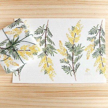 含羞草 包裝紙 10 入組