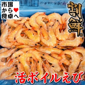 活ボイルえび 2kg Mサイズ(約100尾入り) 「割鮮えび」は、活海老原料にこだわり、鮮やかな色目を実現しています【冷