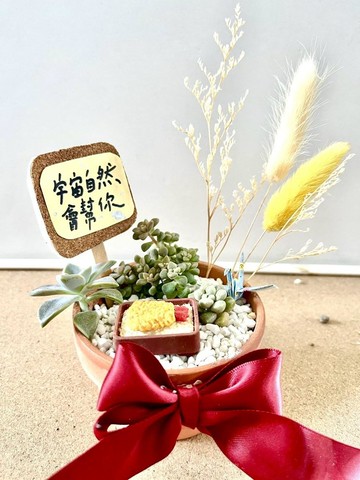 台中 限量多肉組盆 多肉植物 日式枯山水 微景觀 炸蝦飯 慶祝開幕