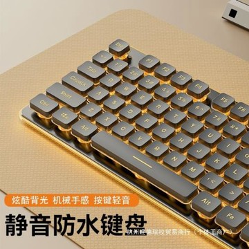 狼途有線靜音鍵盤高顏值機械手感背光平板筆記本電腦打字女生辦公
