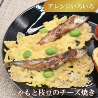 ししゃも雄雌食べ比べ ４ｋｇ セット 訳アリ シシャモ ししゃも カラフトししゃも 大洗 規格外 訳あり わけあり 傷