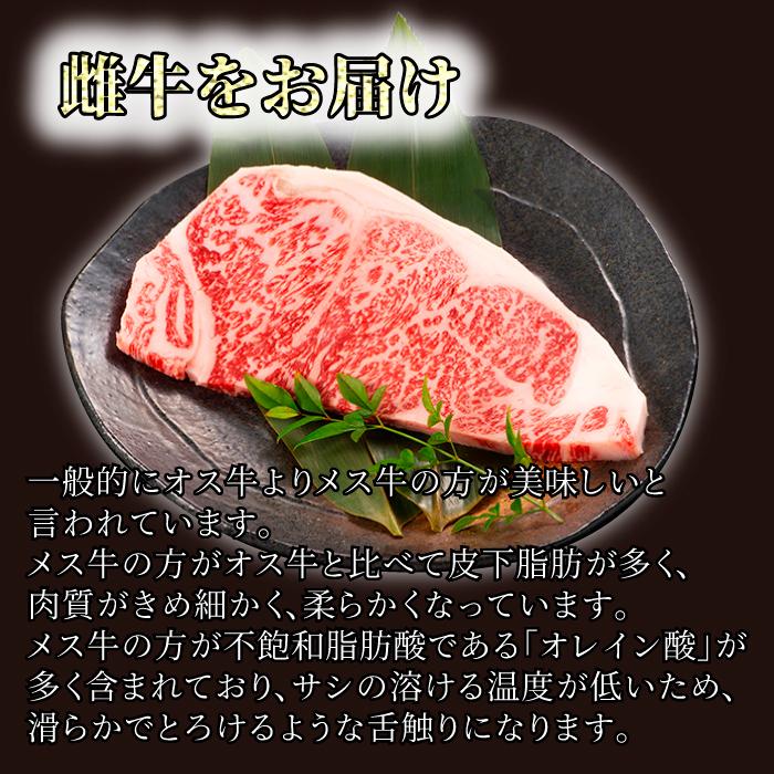 A5雌 九州産 黒毛和牛 サーロイン ステーキ400g (200g×2) 高品質 ギフト 贈り物 プレゼント お歳暮