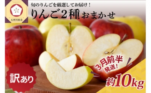   りんご 約10kg 青森産 品種おまかせ2種以上